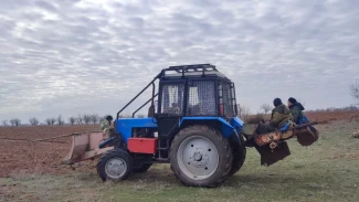 В Астраханской области стартовал весенний лесокультурный сезон
