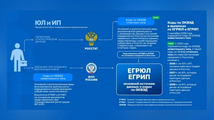 Изменился порядок внесения кодов ОКВЭД в реестры ЕГРЮЛ и ЕГРИП