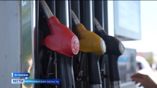ФАС России возбудила 15 дел против нефтекомпаний и продавцов топлива