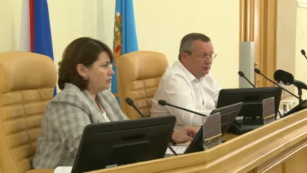 Дума Астраханской области доработает инициативу по усыплению собак