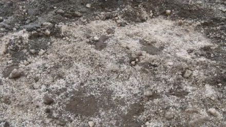 Астраханского предпринимателя оштрафовали за засоление сельхозземель