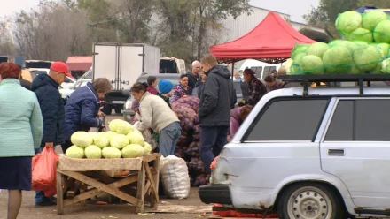 В Астрахани 2 октября пройдёт сельхозярмарка