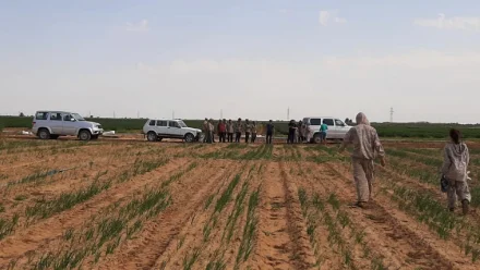 У астраханского фермера незаконно трудились 66 иностранцев