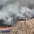 В двух астраханских лесничествах объявили пожароопасный сезон
