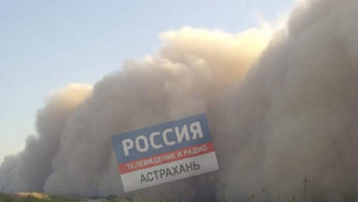 Глобальное потепление и опустынивание стали причиной пыльных бурь в Астрахани