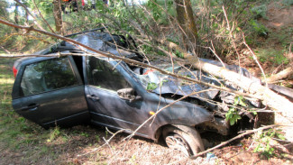 Под Астраханью погибла 54-летняя женщина после наезда на дерево