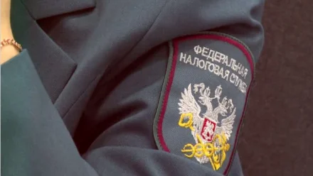 Астраханским предпринимателям станет проще узнать об уплате налогов