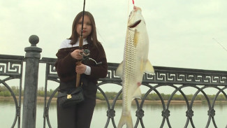 Анонс фестиваля “Вобла”. Рисунки “Чистый взгляд” и номинация “Дети”