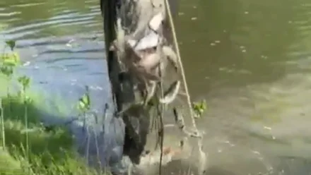 В Астрахани на реке Царев полицейские задержали браконьера