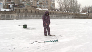 Кого ловят любители зимней астраханской рыбалки