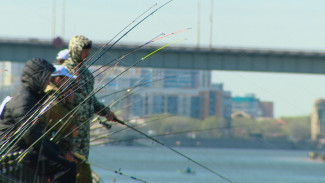 В Астрахани отметят 25-летие фестиваля "Вобла"