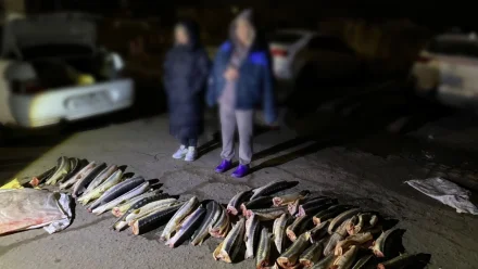 В Астрахани пограничники изъяли у двух местных жителей 51 тушку красной рыбы