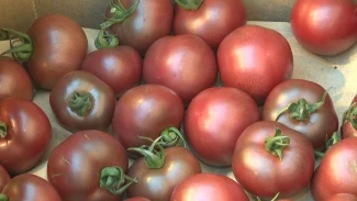 Жители Астрахани рассказали про выбор производителей продуктов