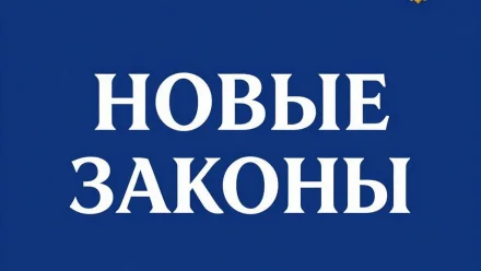 Какие законы РФ вступают в силу с сегодняшнего дня
