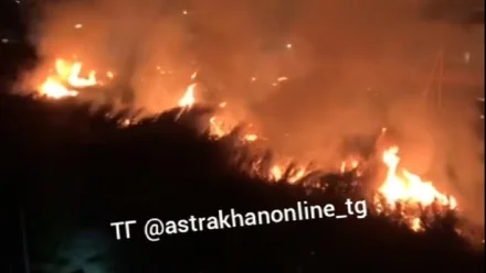 В Астрахани ликвидировали крупный пожар на площади 1 га