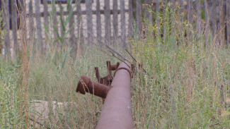 Астраханские дачники в разгар поливочного сезона остались без воды