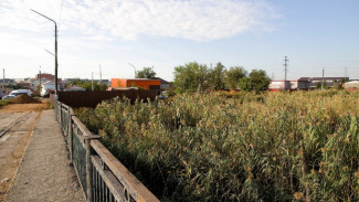 В администрации Астрахани назвали результаты опроса по ерику Казачий 