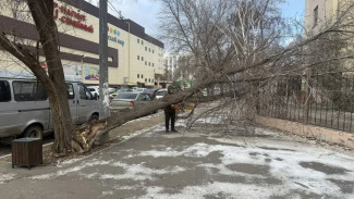 Коммунальщики Астрахани устраняют всё новые последствия непогоды