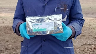 В Астраханской области диких животных вакцинируют от бешенства 