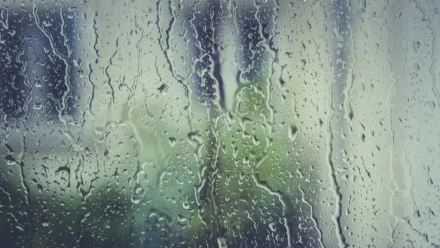 Сегодня в Астрахани ожидается дождь с грозой