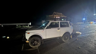 Под Астраханью «Нива» насмерть сбила двух пешеходов 