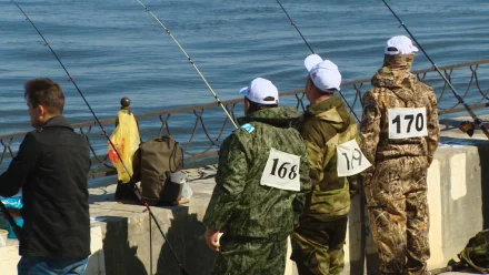 Анонс фестиваля "Вобла 2021". Номинация "Команда"