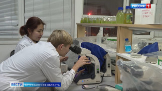 Каким образом астраханцам достичь звания или учёной степени