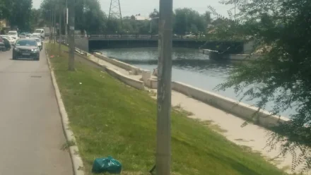 Почти 50 тысяч квадратных метров газона в Астрахани остались без полива