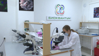 Юные астраханские учёные освоили новый способ выращивания растений