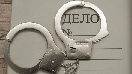 В Астрахани завели дело на мужчину, который ударил и оскорбил полицейского 