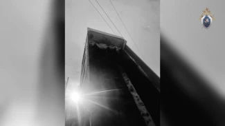 В Астраханской области от поражения электрическим током погиб водитель