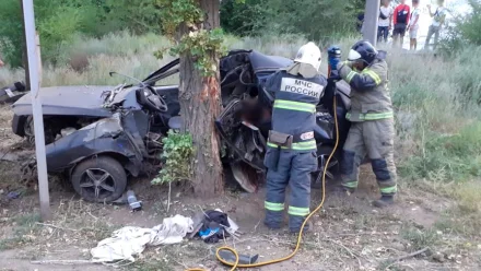 В Астраханской области погиб 34-летний водитель после наезда на дерево
