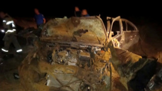 В Астраханской области выясняют обстоятельства смертельного ДТП