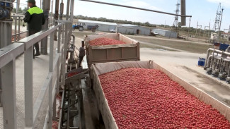 Развитие агропромышленного комплекса в Харабалинском районе идёт полным ходом