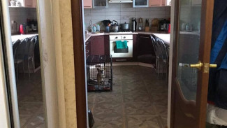 В Астраханской области отчим хотел убить пасынка сковородкой и отверткой