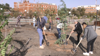 В Астрахани состоялась сезонная высадка деревьев и кустарников