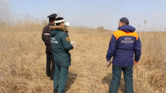 В Астраханской области составлено 7 протоколов за незаконный выжиг сухой растительности 