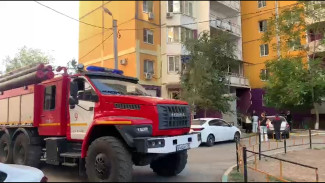 В Астрахани из пожара спасли женщину-инвалида и её кота