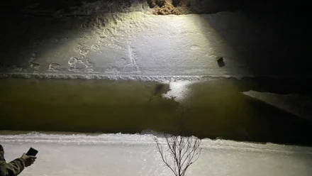 В Астраханской области завели дело по факту гибели 9-летней девочки в водоёме