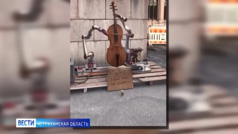 Коты, роботы и Астраханский регион из космоса - что еще интересного можно найти в сети?