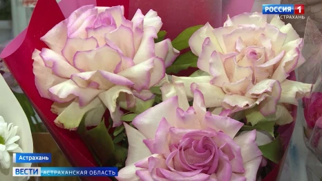 Откуда астраханцам везут цветы к 8 Марта
