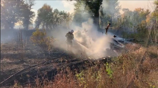 В Астрахани на Городском острове горит сухая растительность