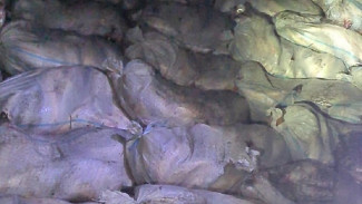 Под Астраханью пограничники задержали браконьеров с 38 мешками судака