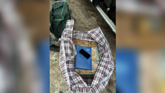 Астраханские полицейские изъяли у водителя 2 коробки с живыми раками без документов