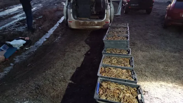 Под Астраханью пограничники изъяли более 10 тыс. раков у ростовчанина