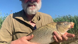 Главный «сват» России приехал на отдых в Астрахань