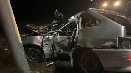 В ДТП под Астраханью из-за безнадзорной коровы погиб парень