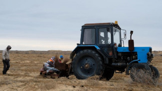 В Астраханской области показатели по “Сохранению лесов” составили 100%