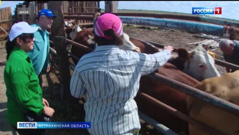 Беларусь запретила ввоз астраханской сельхозпродукции