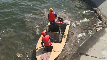 Из каналов в Астрахани еженедельно собирают по 6 тонн мусора